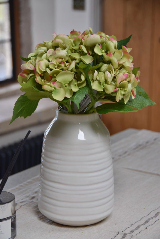 Mini green Hydrangeas in a small cream vase sat on a kitchen countertop in a country style house for home decor.