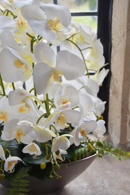 Silver ark bowl placed on a stone windowsill with an arrangement of white orchids for home decor. Arranged in a country style kitchen for home decor.