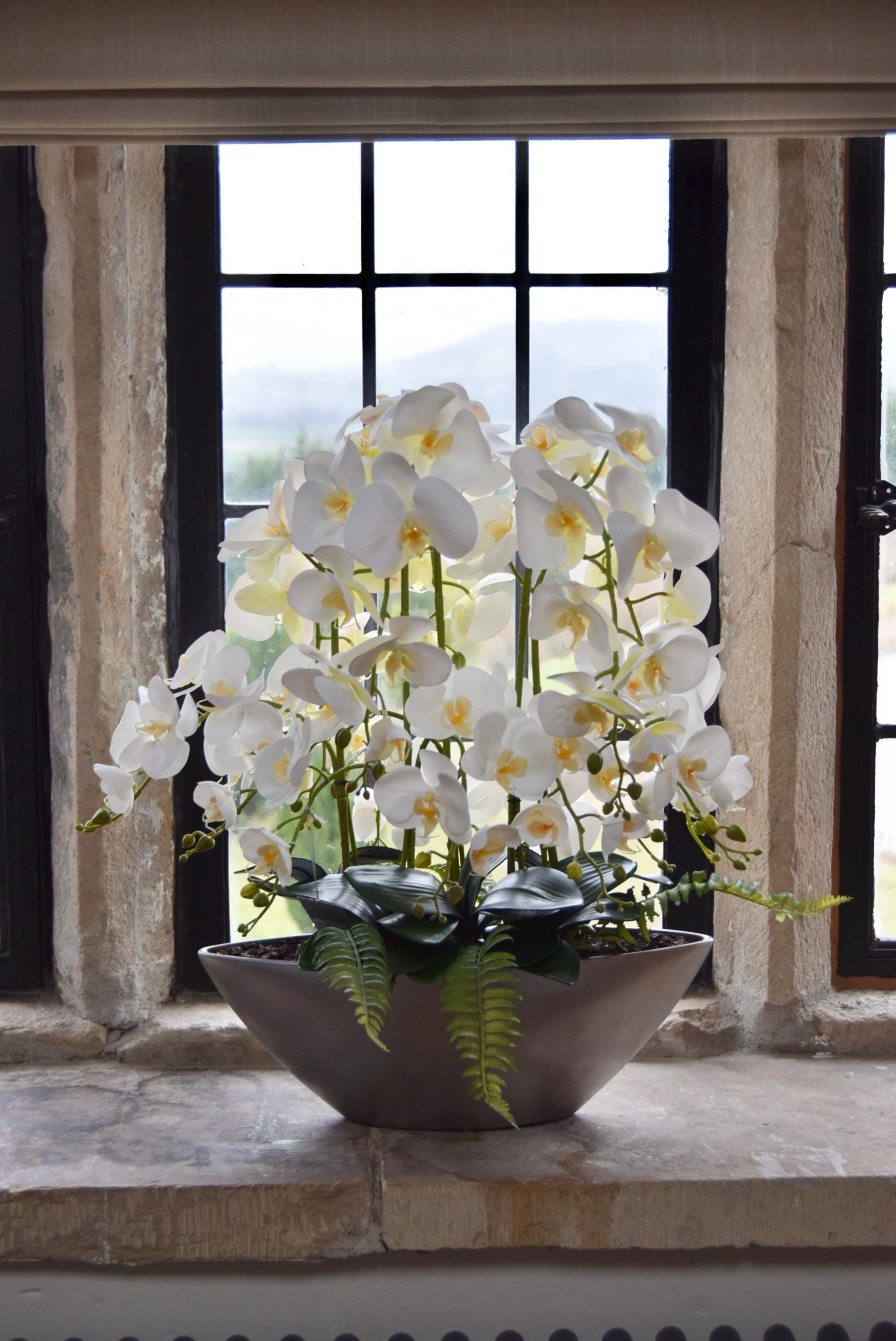 Silver ark bowl placed on a stone windowsill with an arrangement of white orchids. Arranged in a country style kitchen for home decor.