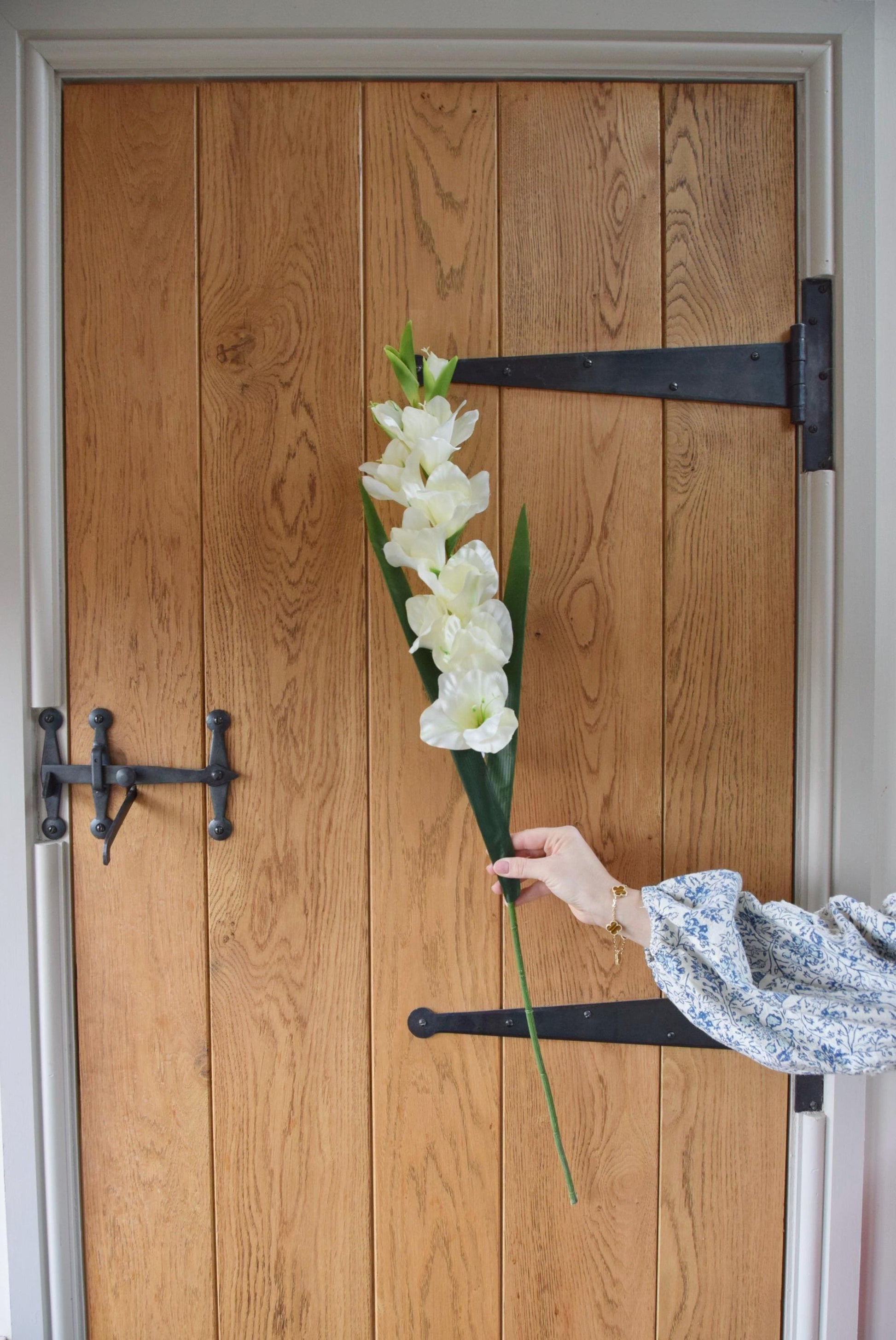 Tall gladioli stem displayed against a country style wooden door.