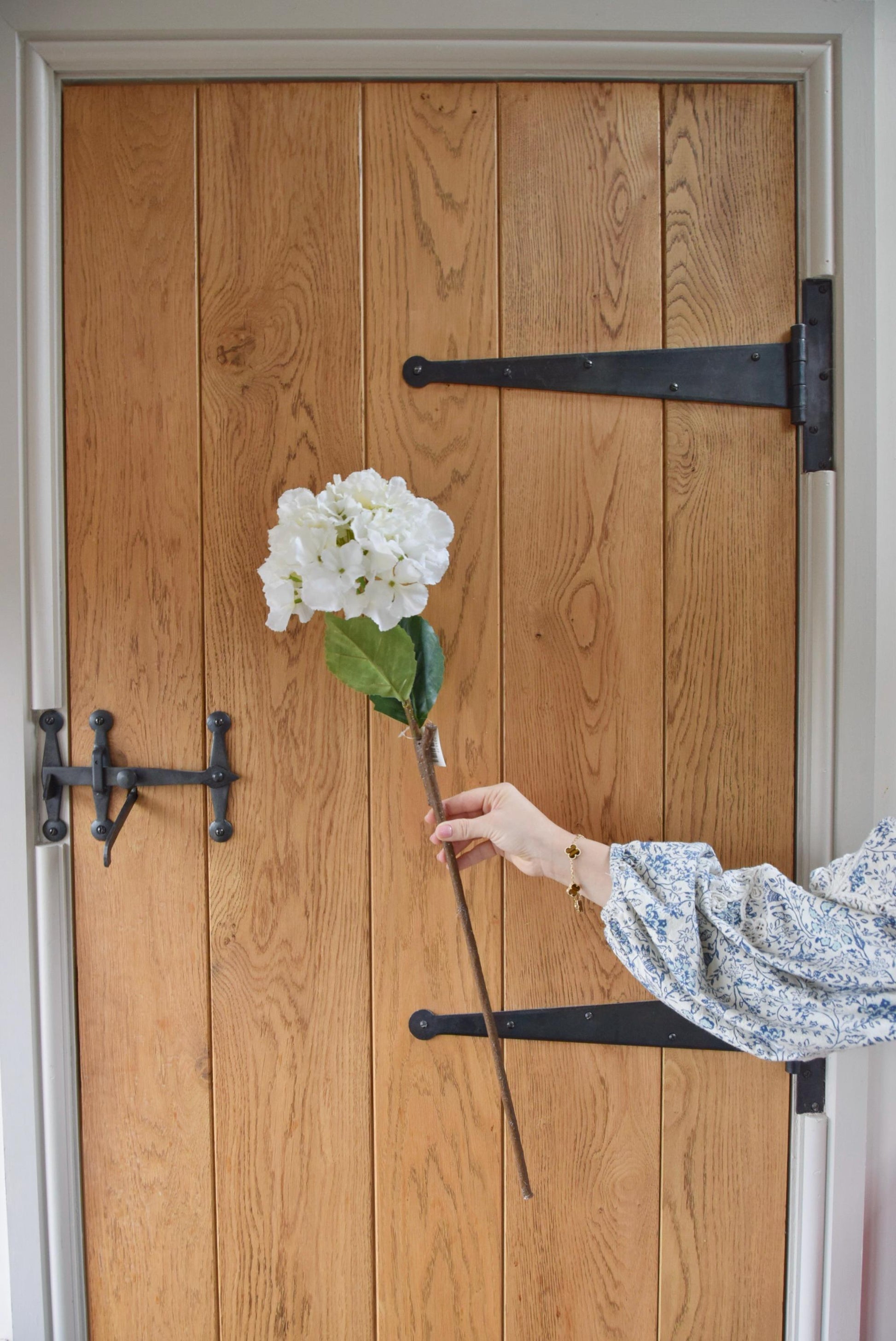 Tall white hydrangea displayed against a country style wooden door.