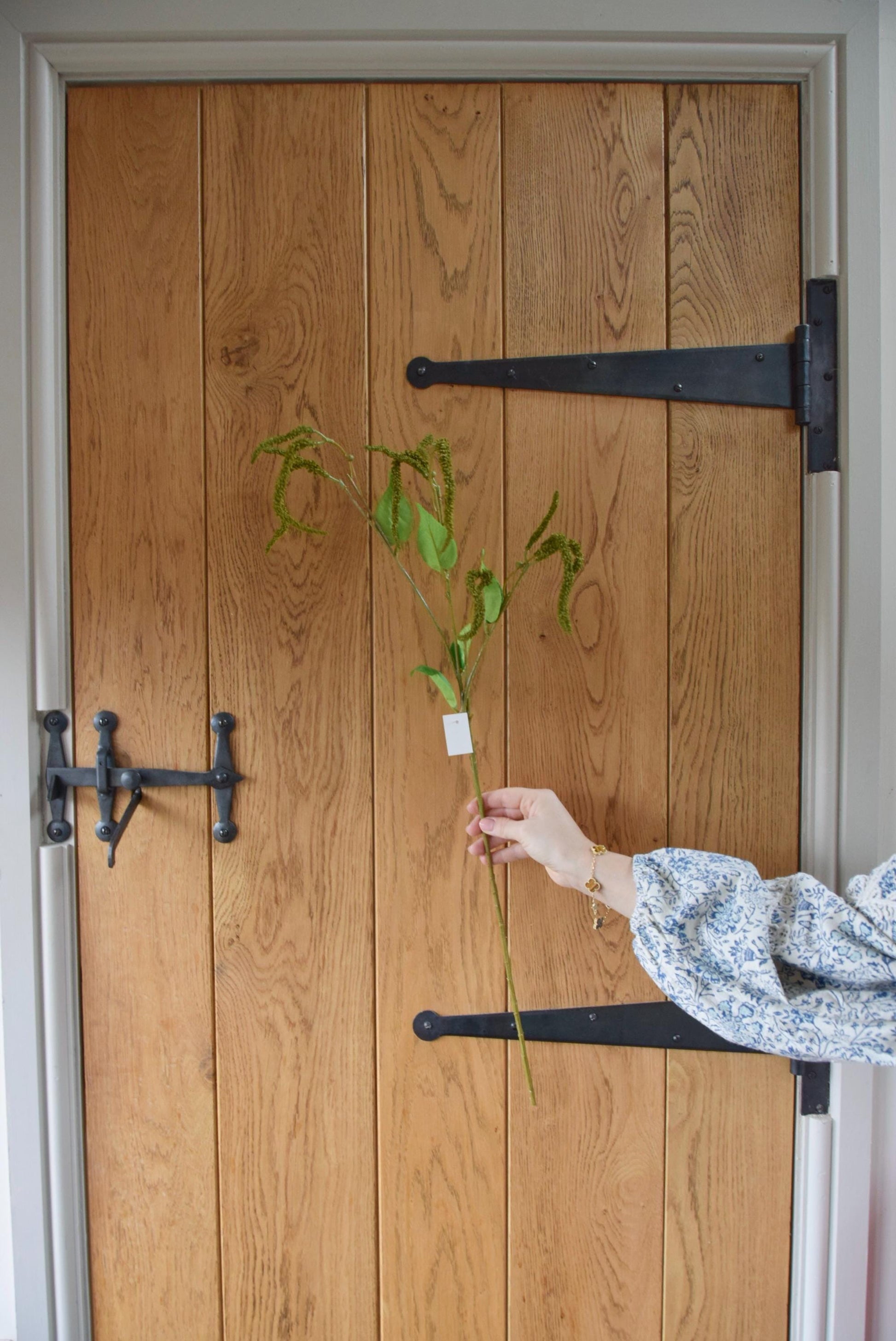 Artificial green catkin stem displayed against a country style wooden door.