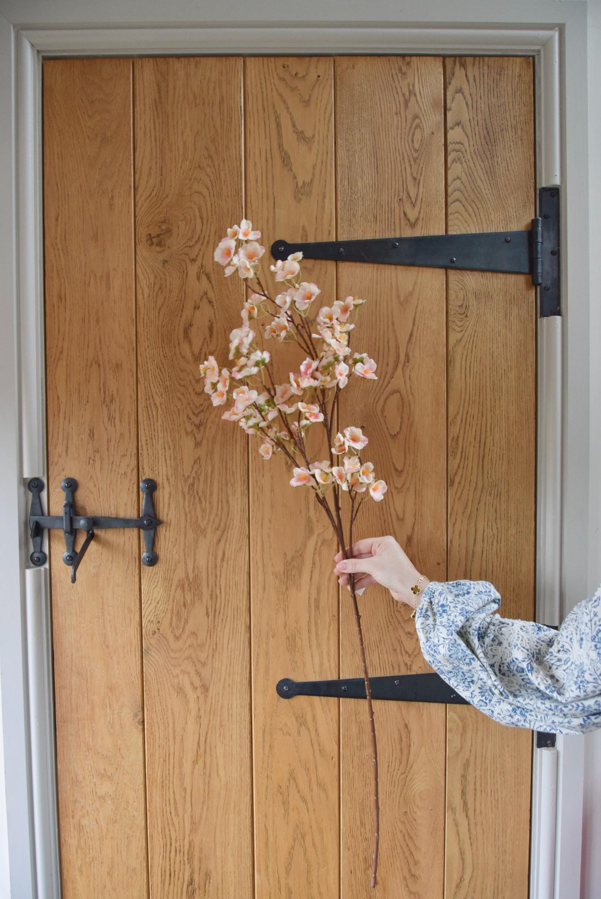 Pink plum blossom stem displayed against a country style wooden door.