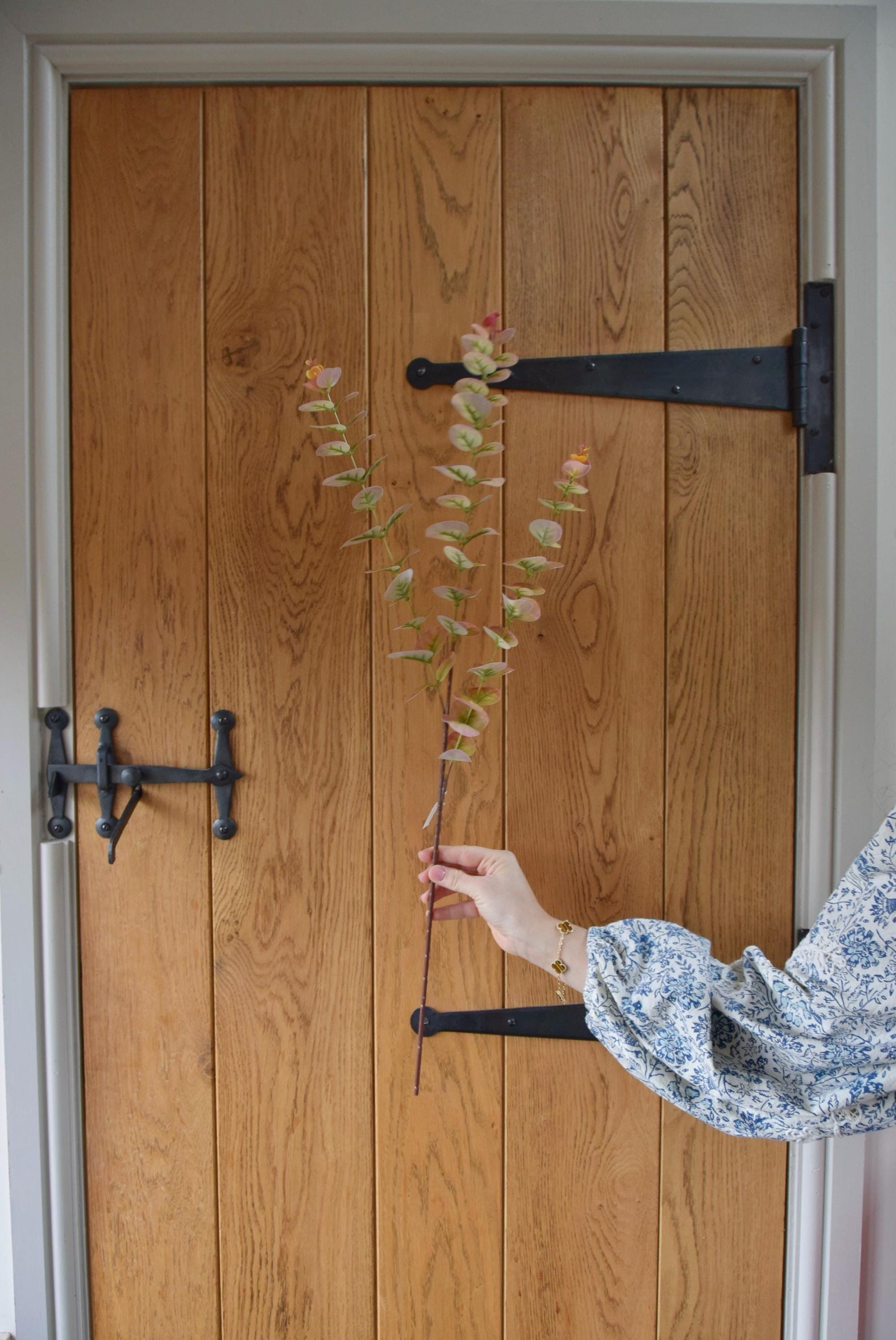Pink and green blush eucalyptus stem displayed against a country style wooden door.