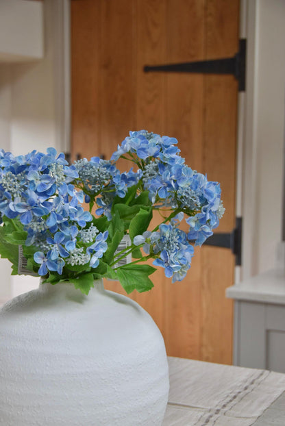 White round vase with a bunch of blue lace cap hydrangeas placed on a kitchen countertop. Displayed in a country style kitchen for home decor.