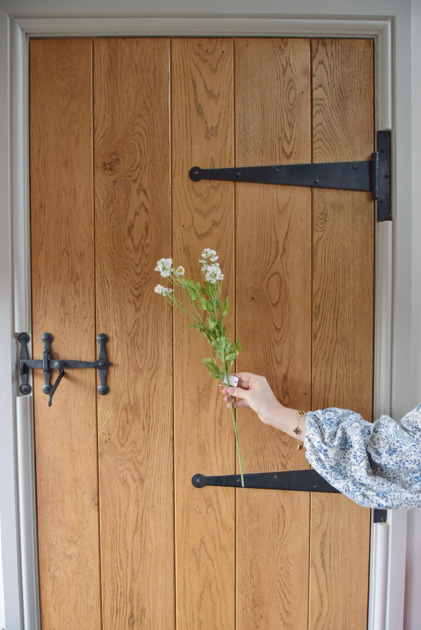 White daisy stem with green foliage displayed against a country style wooden door.
