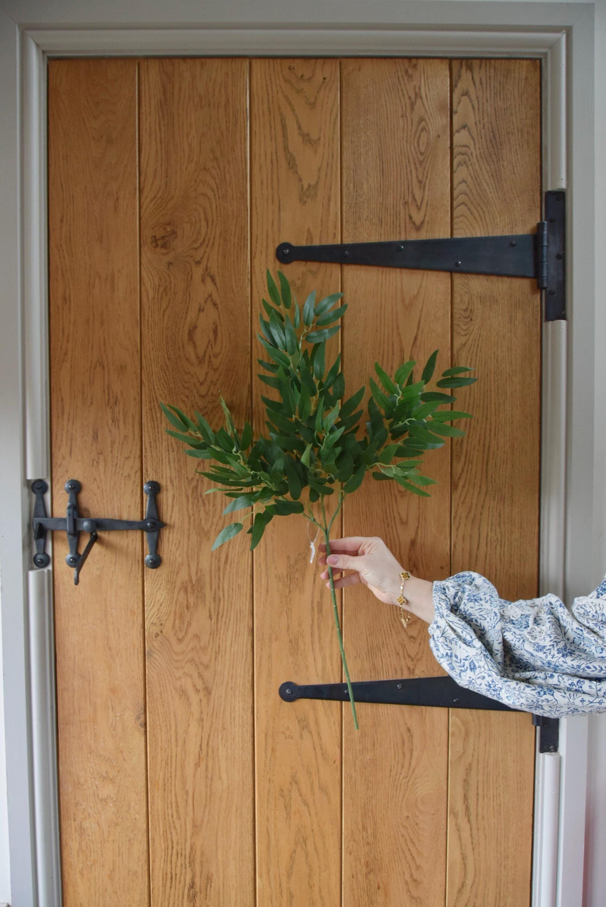 Green foliage leaf stem displayed against a rustic wooden country style door.