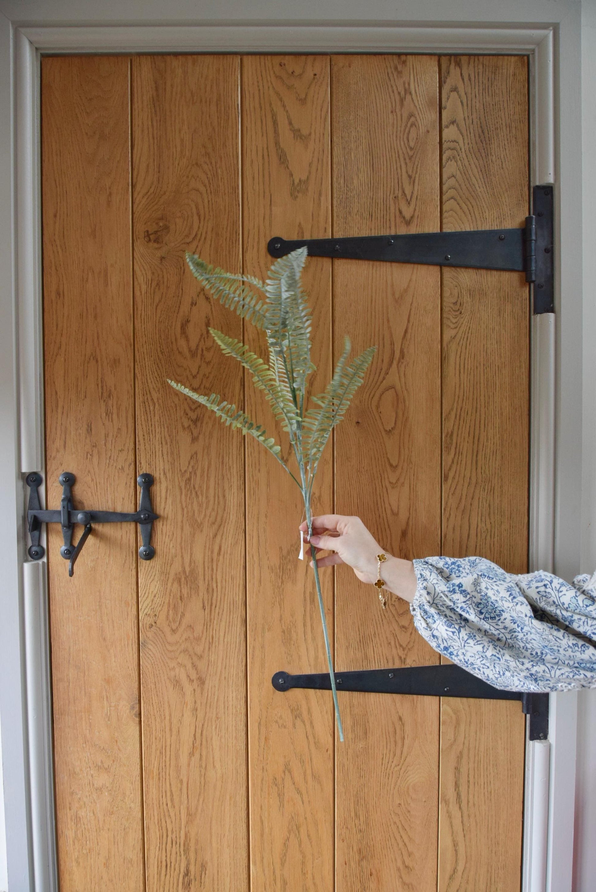 Long dusted fern spray displayed against a country style wooden door.
