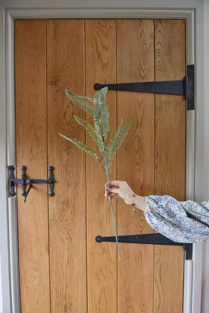 Long dusted fern spray displayed against a country style wooden door.
