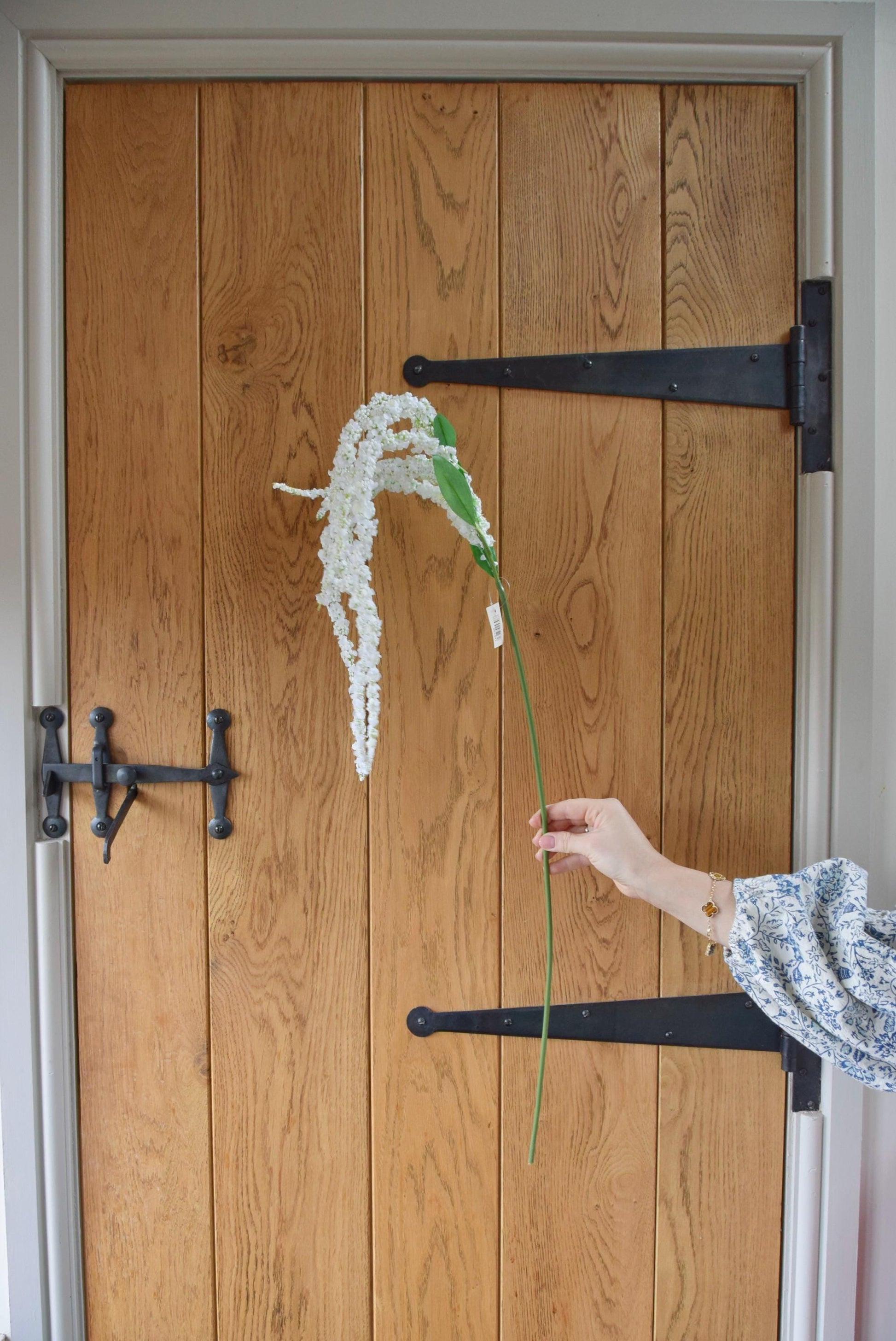 Long white amaranthus trailing stem displayed against a country style wooden door.