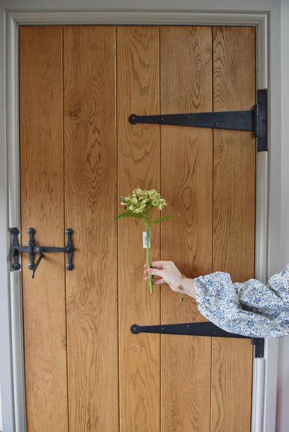 Small green hydrangea displayed against a rustic country style wooden door.