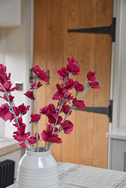Red sweet peas set in a cream vase on a kitchen countertop in a country style house for home decor.
