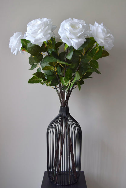 Tall white roses displayed in a black vase against a neutral background.